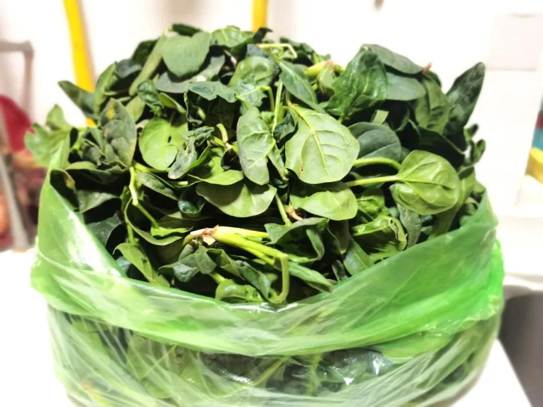 管控区解封的最新规定,管控日常花销的软件