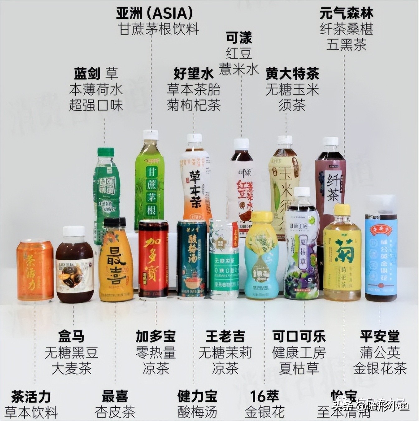 创业者必看,未来十年最具前景的创业项目