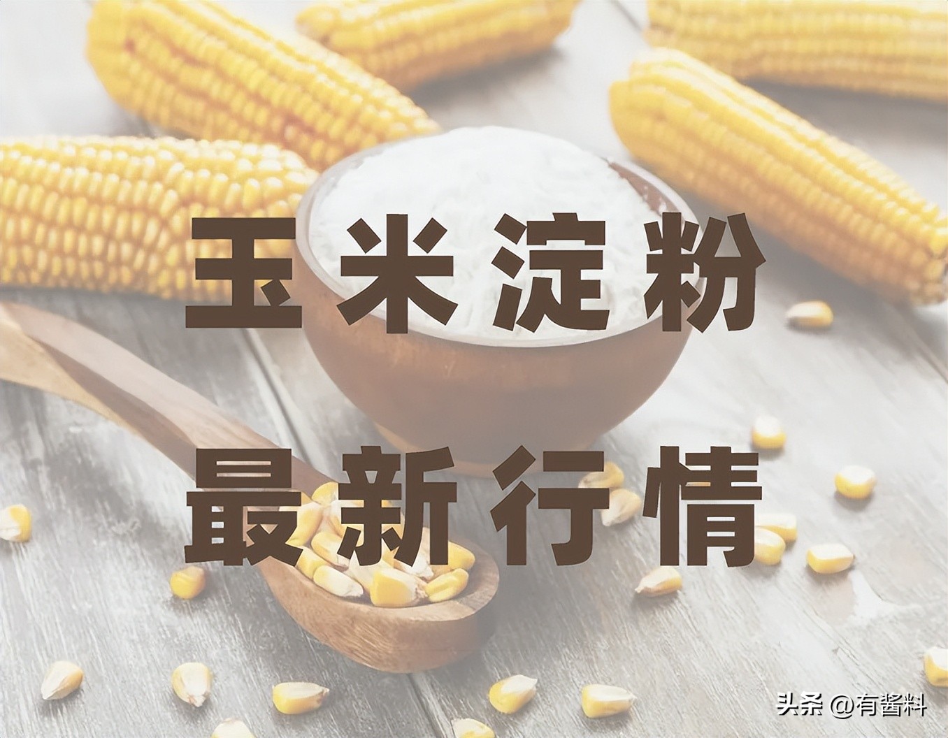 玉米淀粉行情日报20230220:或存在上行压力,窄幅波动