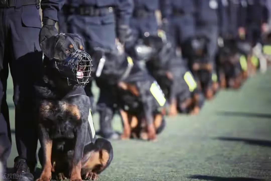 2023年报考警校对视力有哪些要求,警校体检额头疤痕评判标准