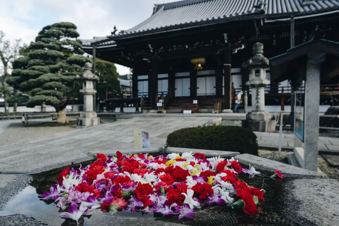 日本01年出生人口,日本01假面骑士