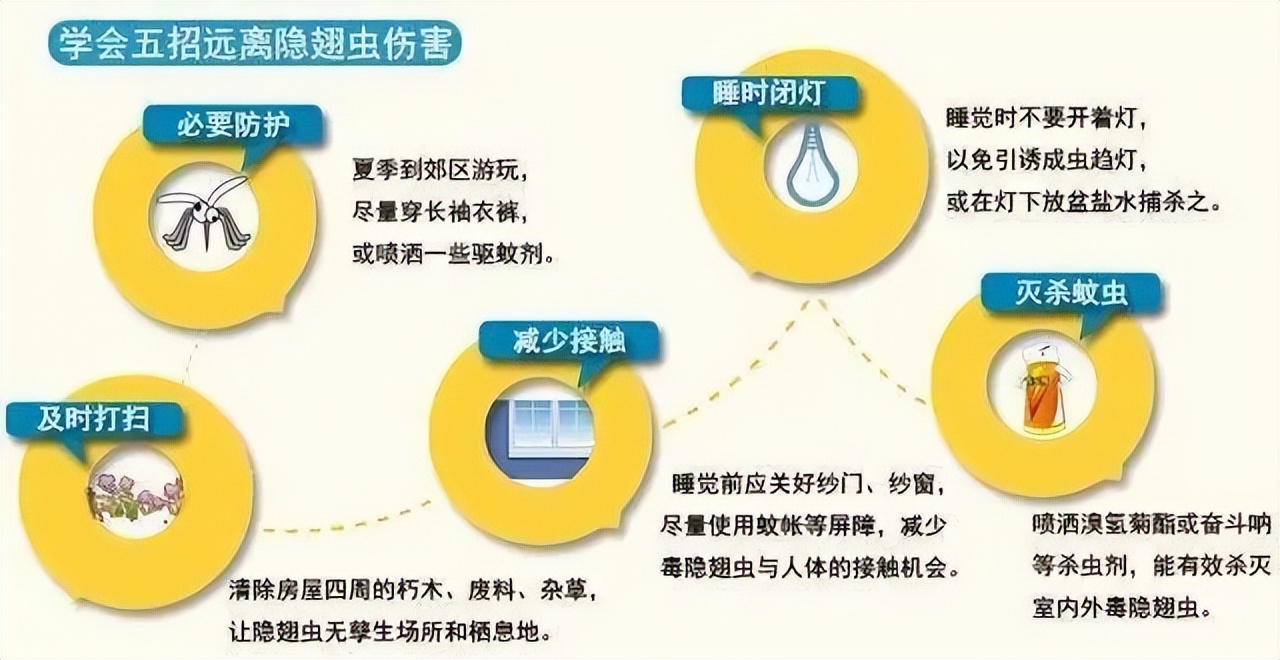 紧急提醒这种虫子别用手打,在户外遇到这种虫一定要注意