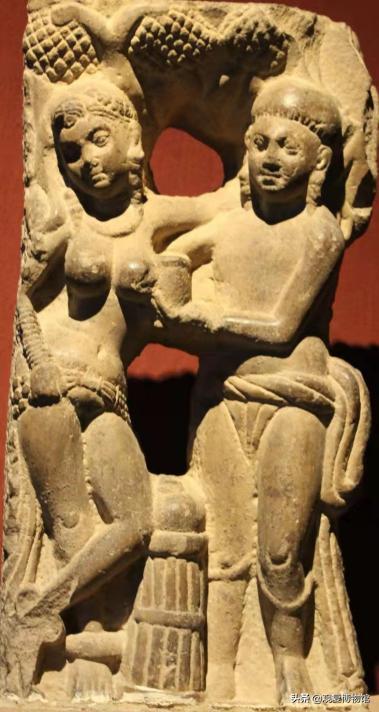 天龙八部—有情众生之非人岁月