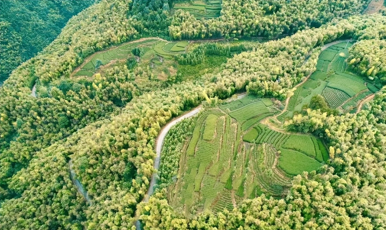福鼎古村古镇,福鼎十大最美村庄图片
