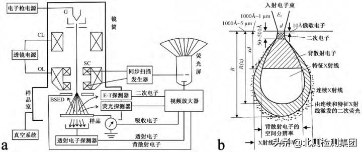 扫描电镜能谱分析实验步骤,扫描电镜sem分析结果