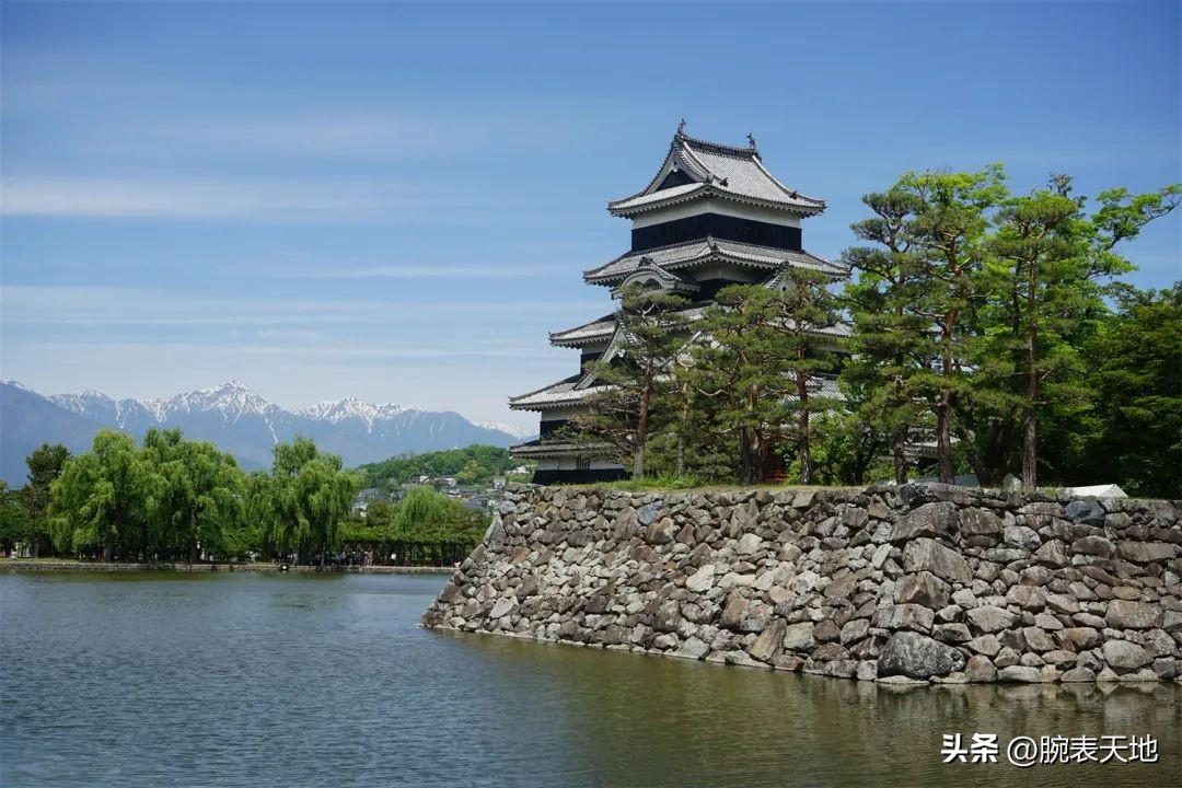 冠蓝狮在日本和国内售价对比,冠蓝狮新品2023