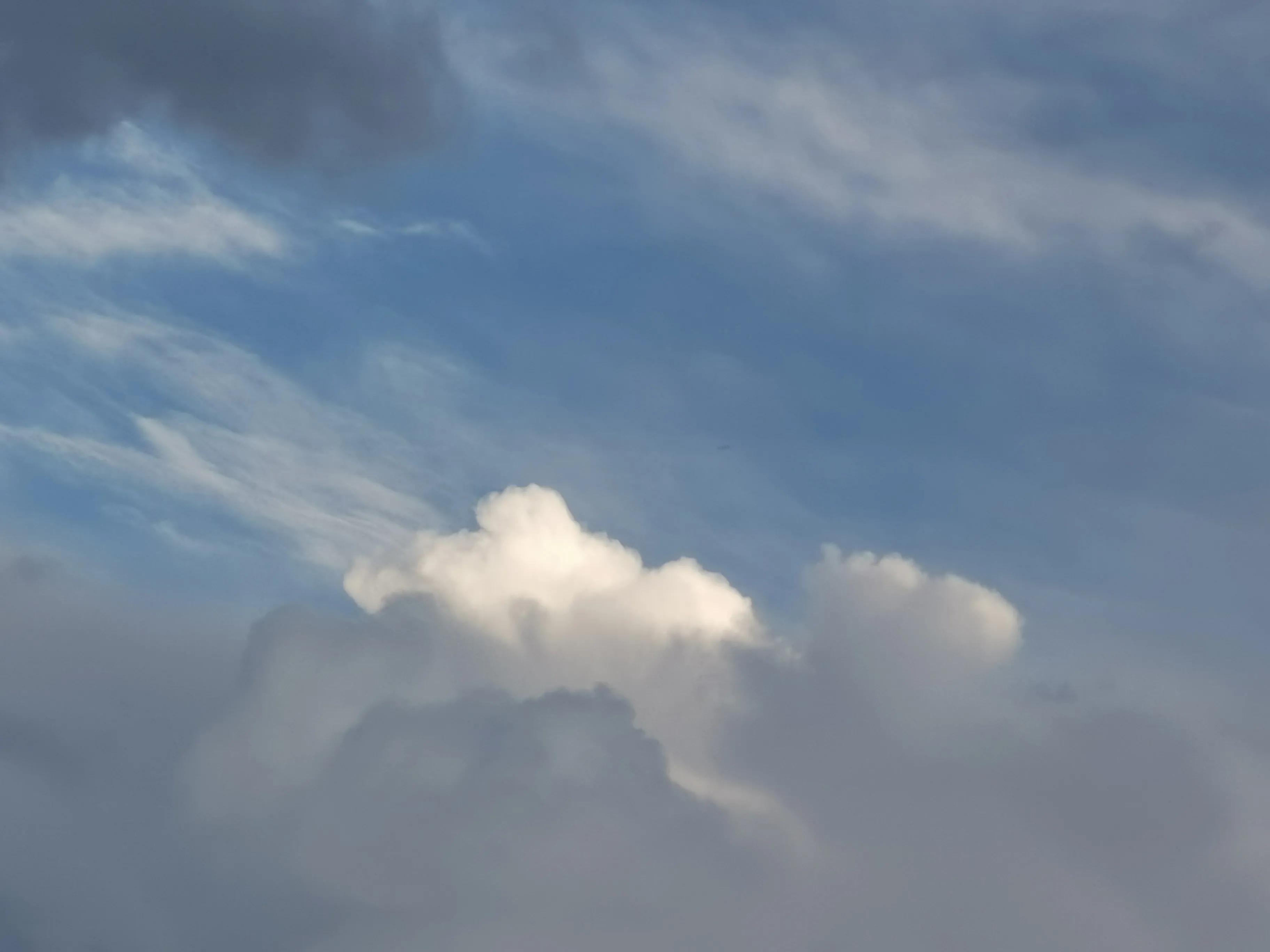 怎么向你描述今天的风,如何表达今晚的风特别大