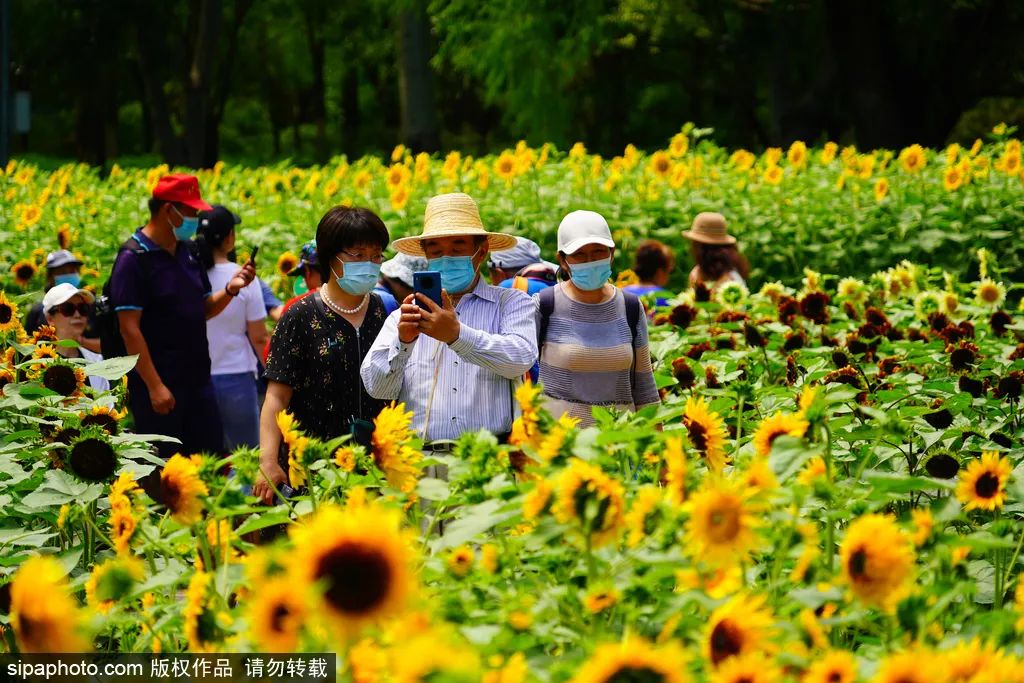 北京户外公园,北京周末好去处户外