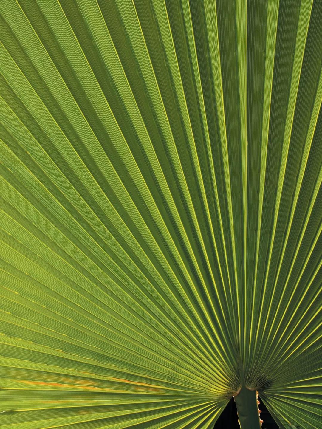 如何让自己的照片更具表现力,好照片的五个必背要素