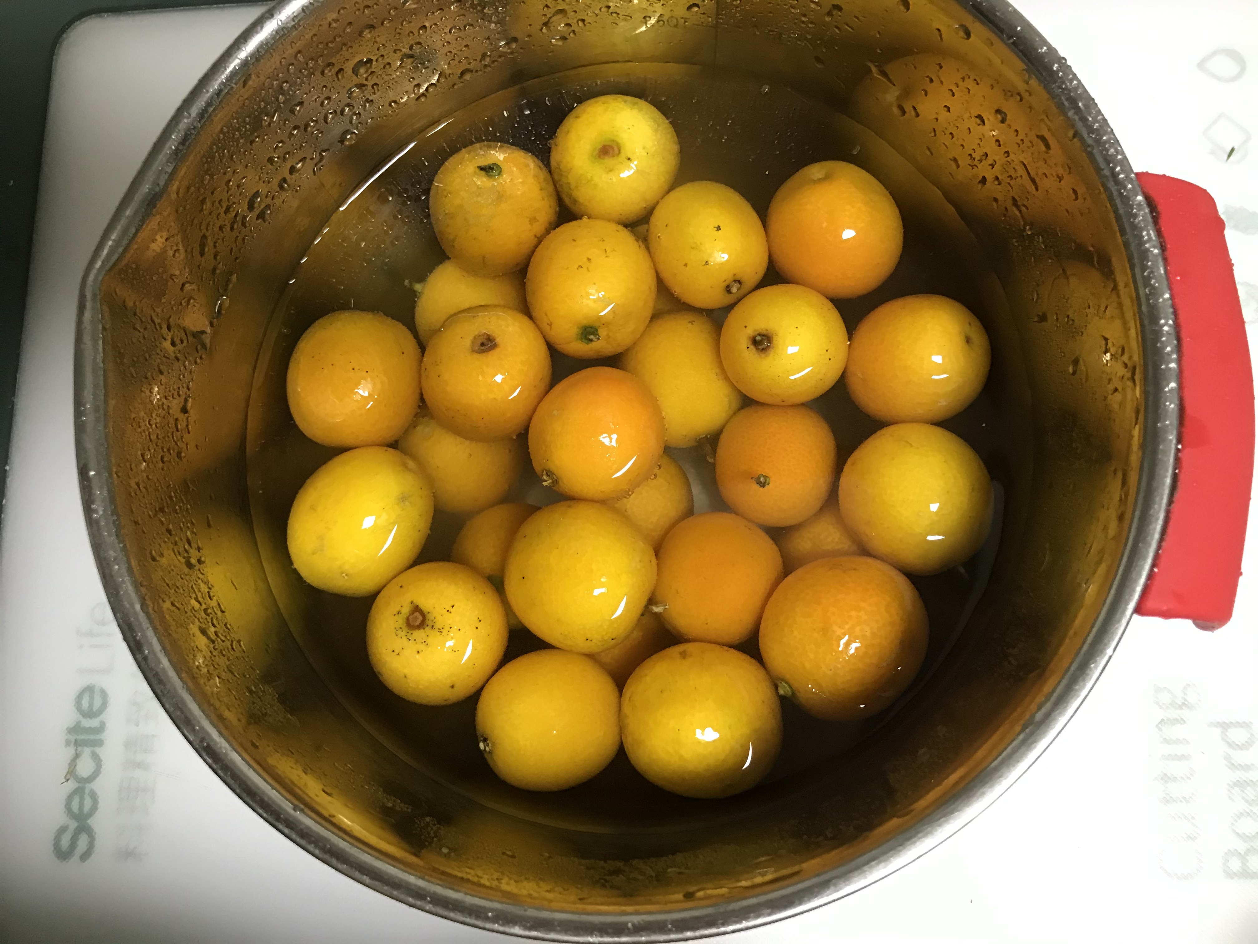 冬天常吃金桔教你懒人做法,金桔放锅里煮