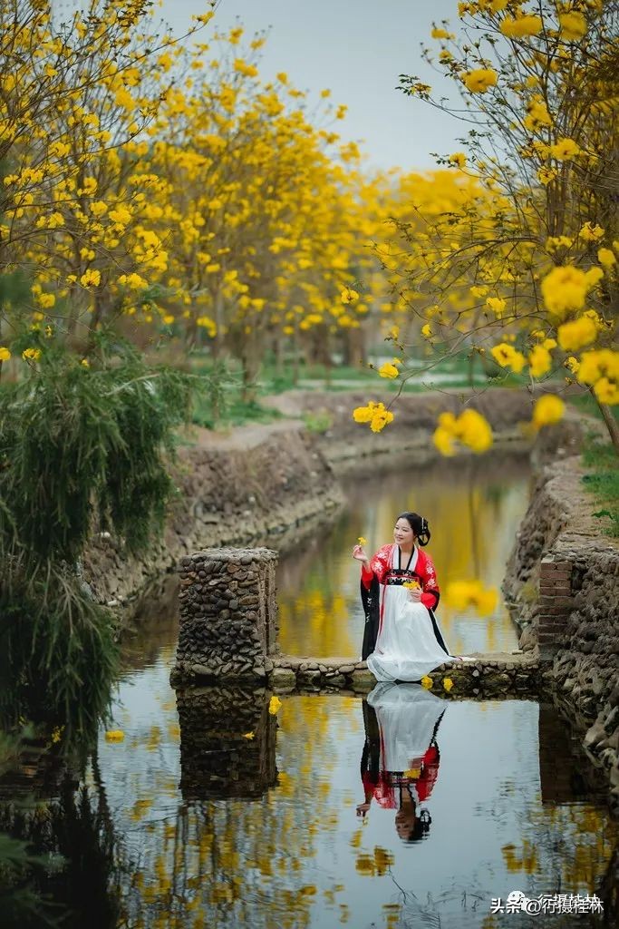花仙子风铃,风铃花仙子