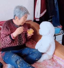 养什么小型犬寿命长又好看,建议新手养的10种小型犬性格好的