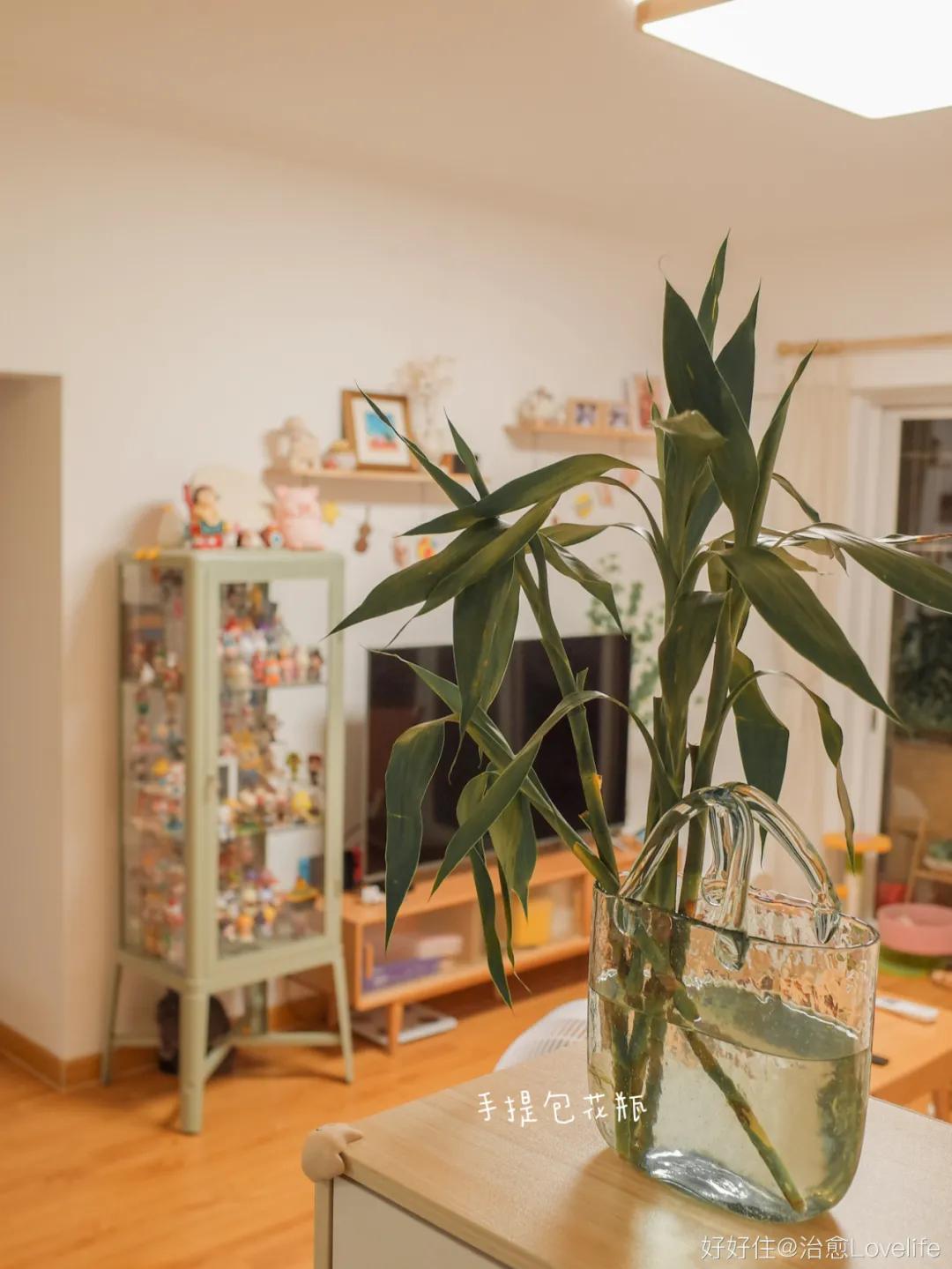 她家简直是个种草机，原木空间进来就出不去