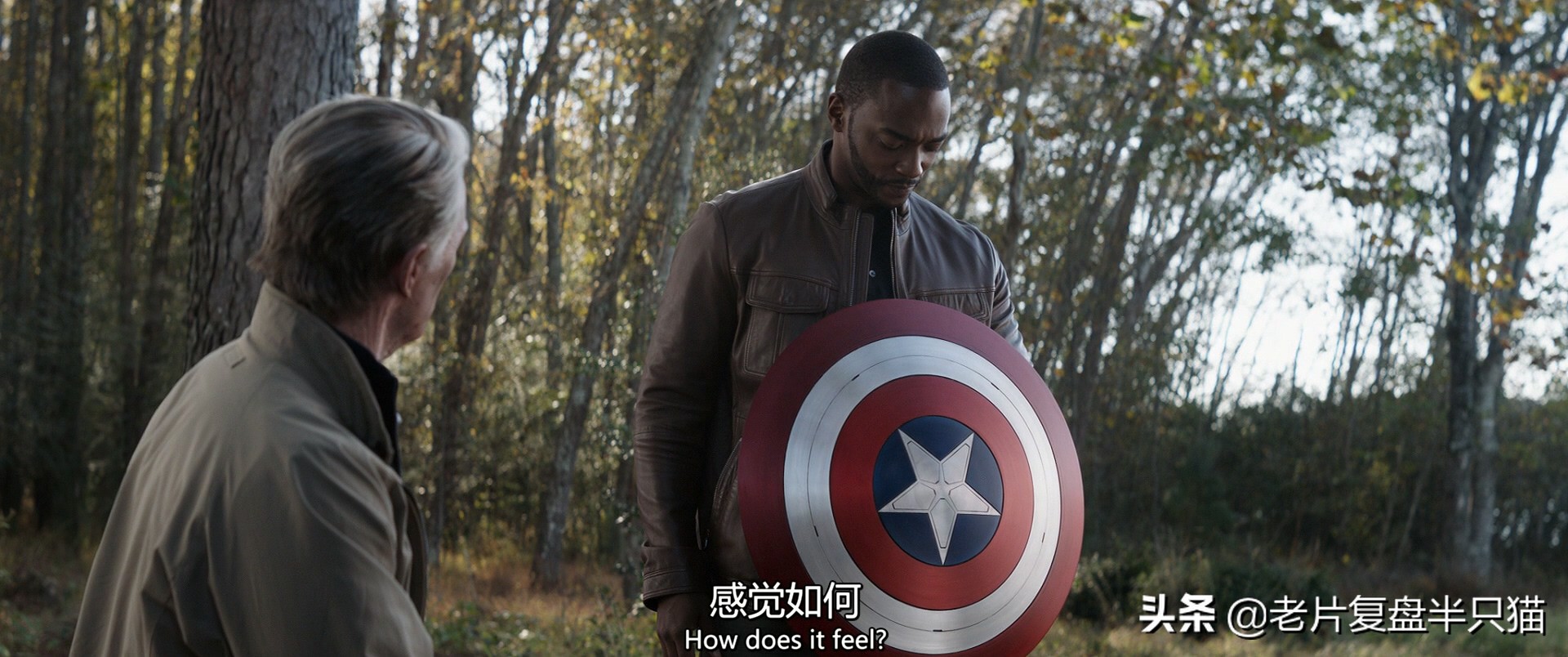 美国队长在冰封70年都干了些什么,美国队长一生的故事