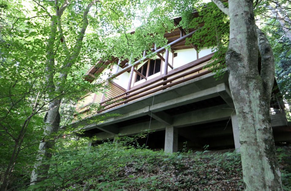 日本空置住宅,日本乡村空置房