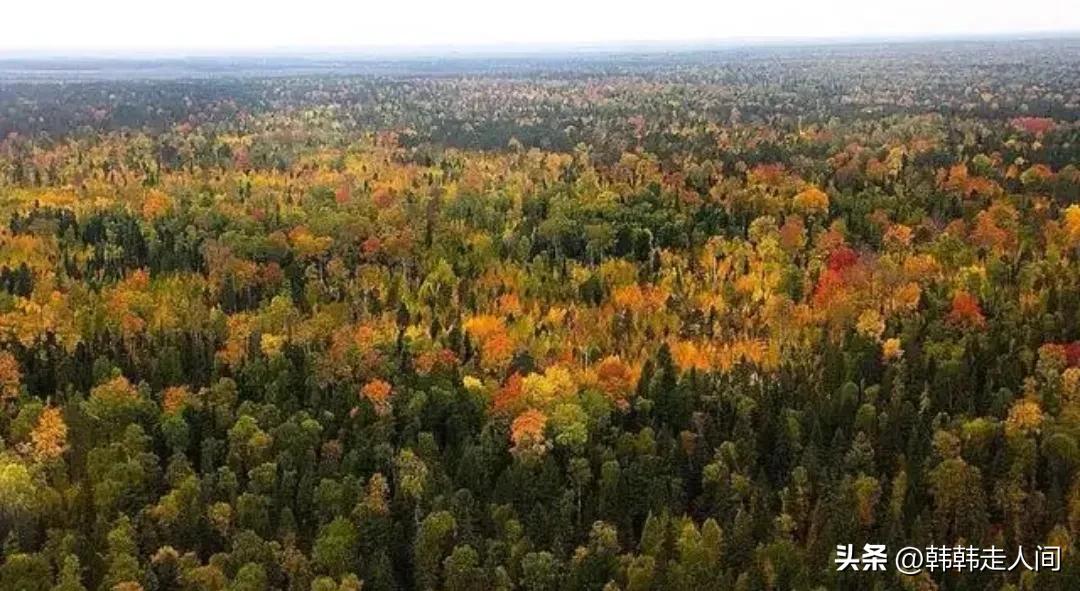 俄罗斯西伯利亚大铁路选择的原因,关于俄罗斯的故事