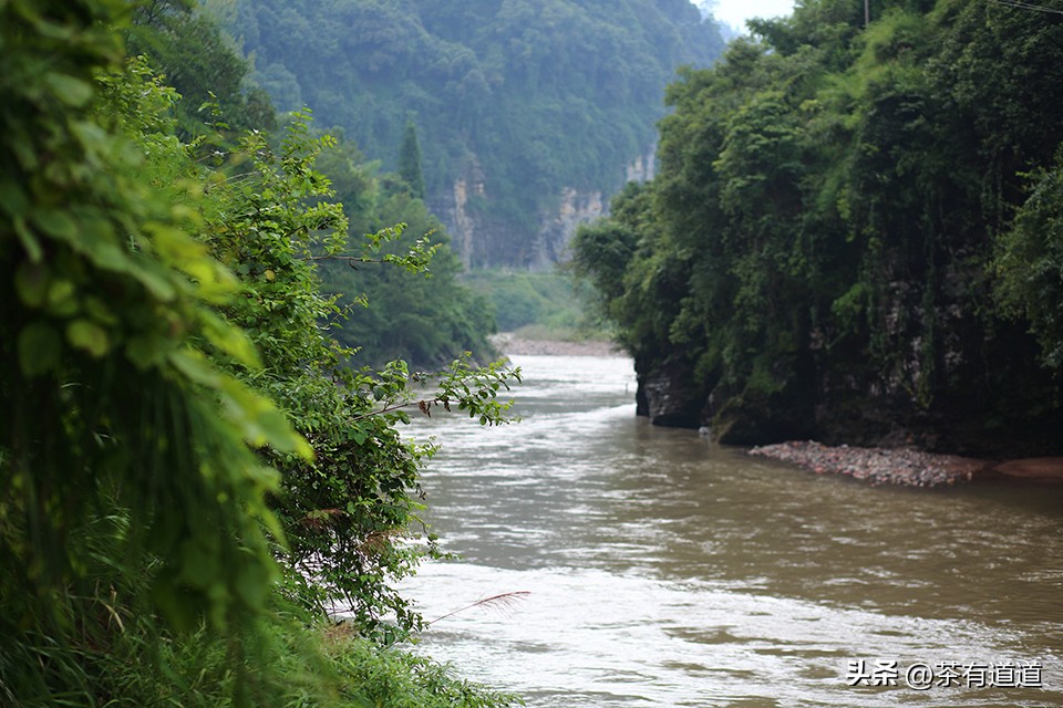荥经茶马古道徒步线路,雅安荥经茶马古道穿越