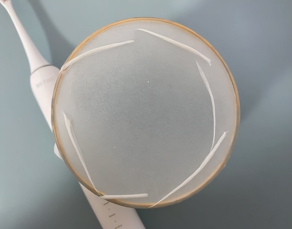 扉乐电动牙刷哪个型号最好用,扉乐f1全自动杀菌电动牙刷评测