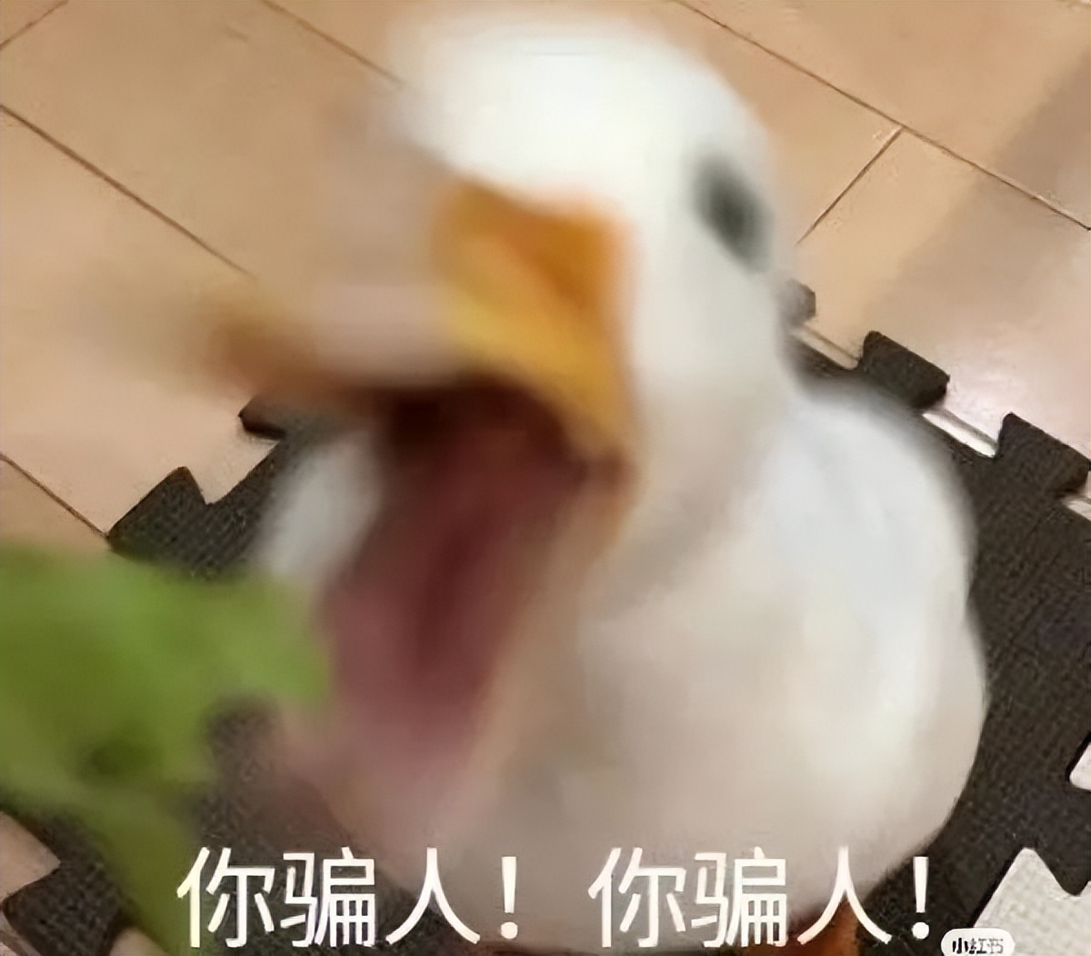 简直无法无天，网上买翡翠被骗6万冲上热搜！