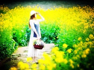 李博陕西,李博几岁了