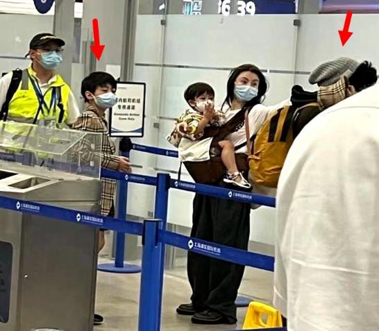 张柏芝被狗咬伤事件,张柏芝被狗咬伤满脸痛苦不断尖叫