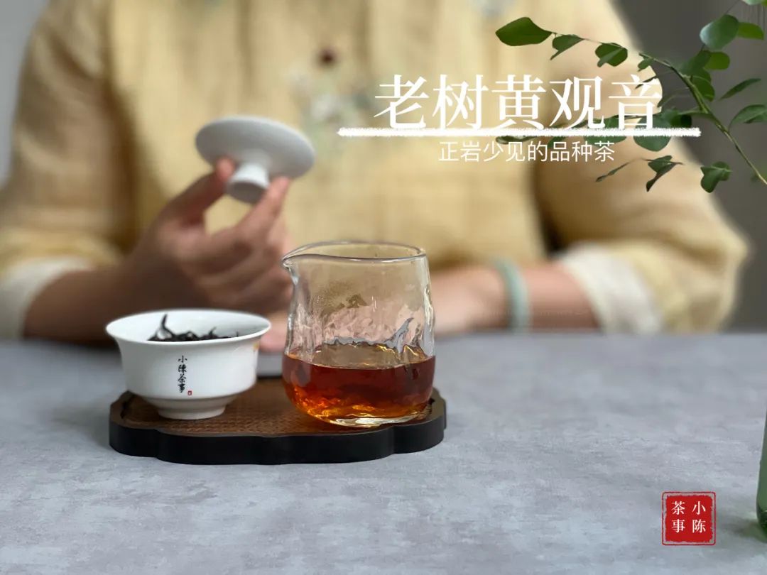 泡茶第一步专用术语,泡茶过程的八个步骤专业术语