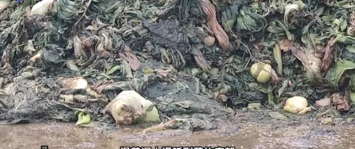 食品安全315橄榄菜,315食品曝光橄榄菜