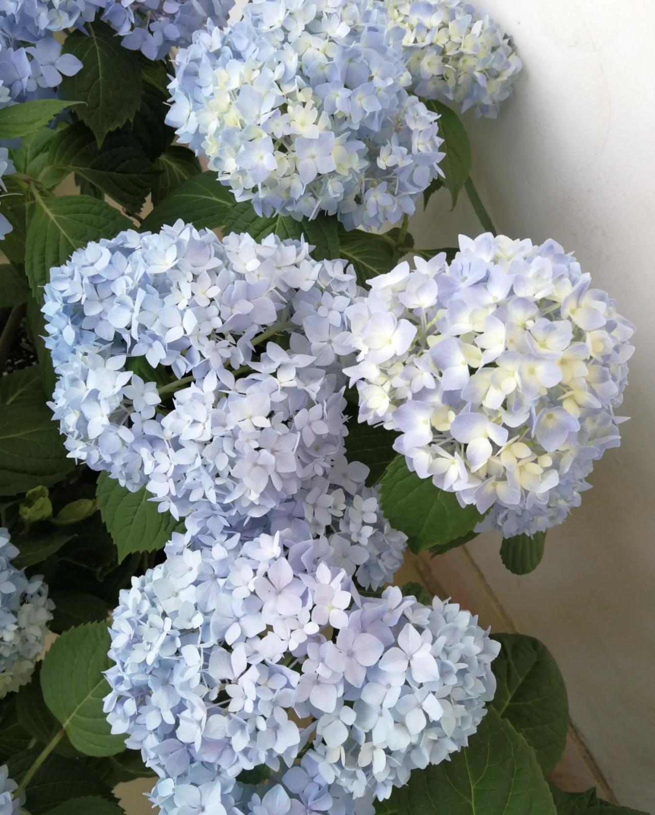 你瞧不上的5个家居小物件，实际是王炸