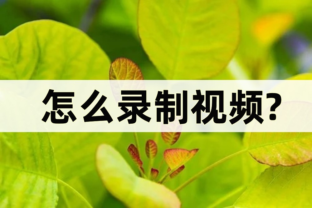 怎么录制视频教程有声音,如何在视频软件上录制视频