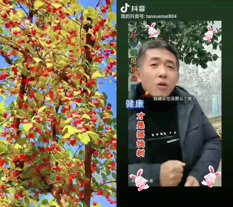 我的两个姨姐，住城里踢了什么？