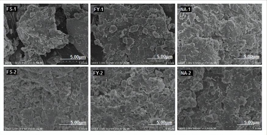 中国东北矿区和蒙古国巴彦加拉等矿区的物理化学性质实验研究
