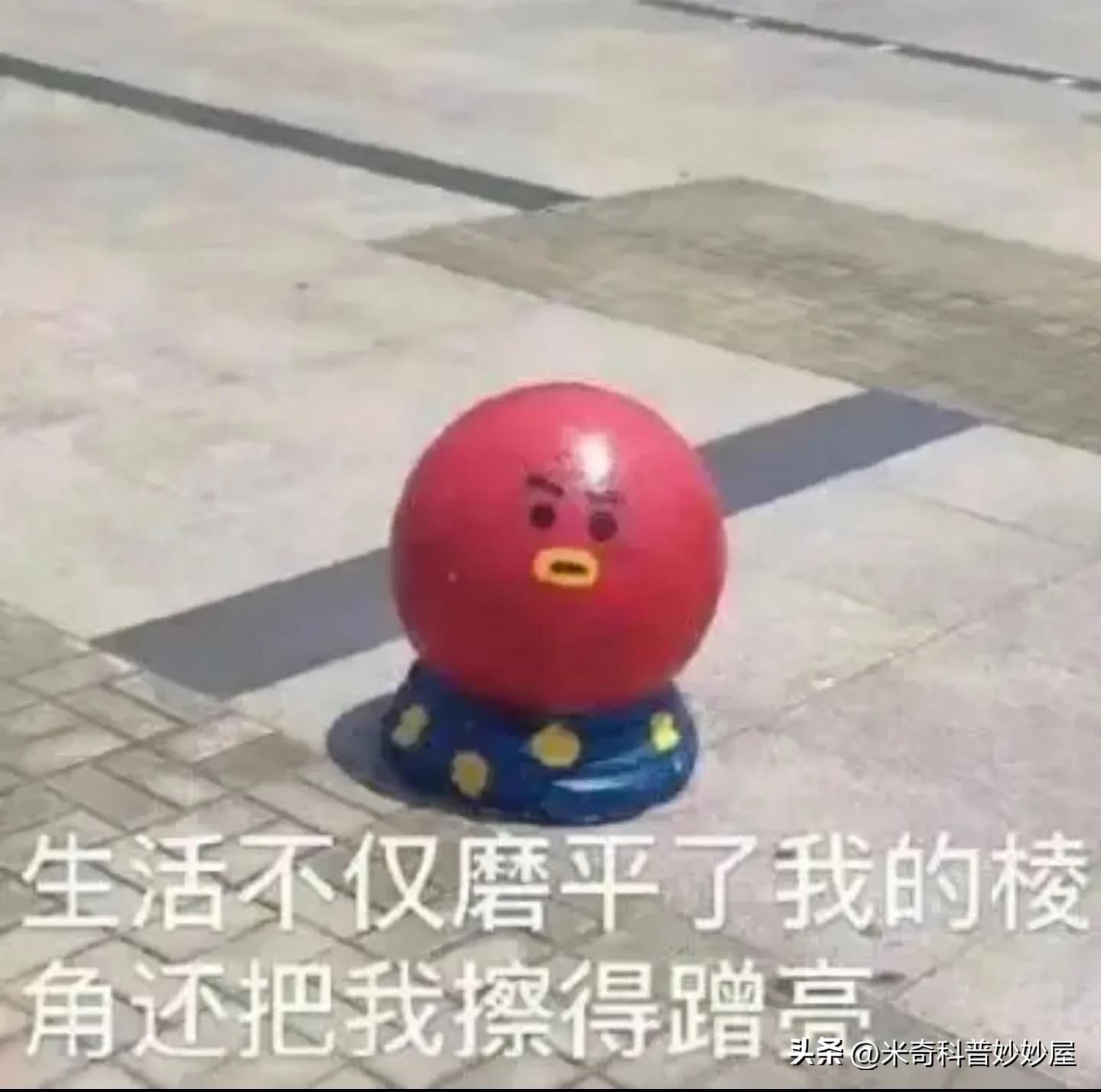 是大脑控制你，还是你控制大脑呢？