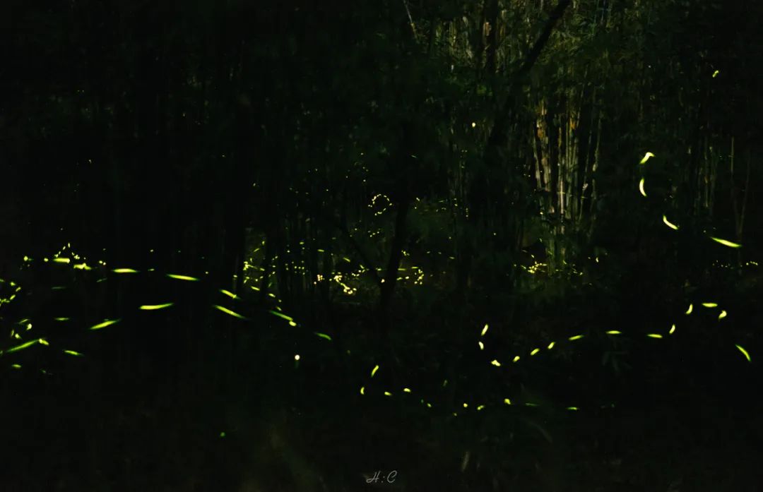 夏天凉快风景好又有水的旅游景点,夏天旅游景点哪里最好玩