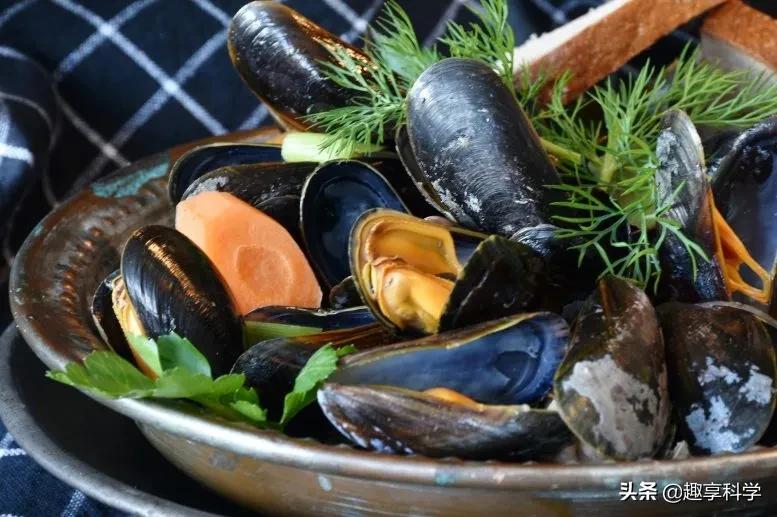 哪些食物含有铁治疗贫血,铁缺乏引起的贫血吃什么好