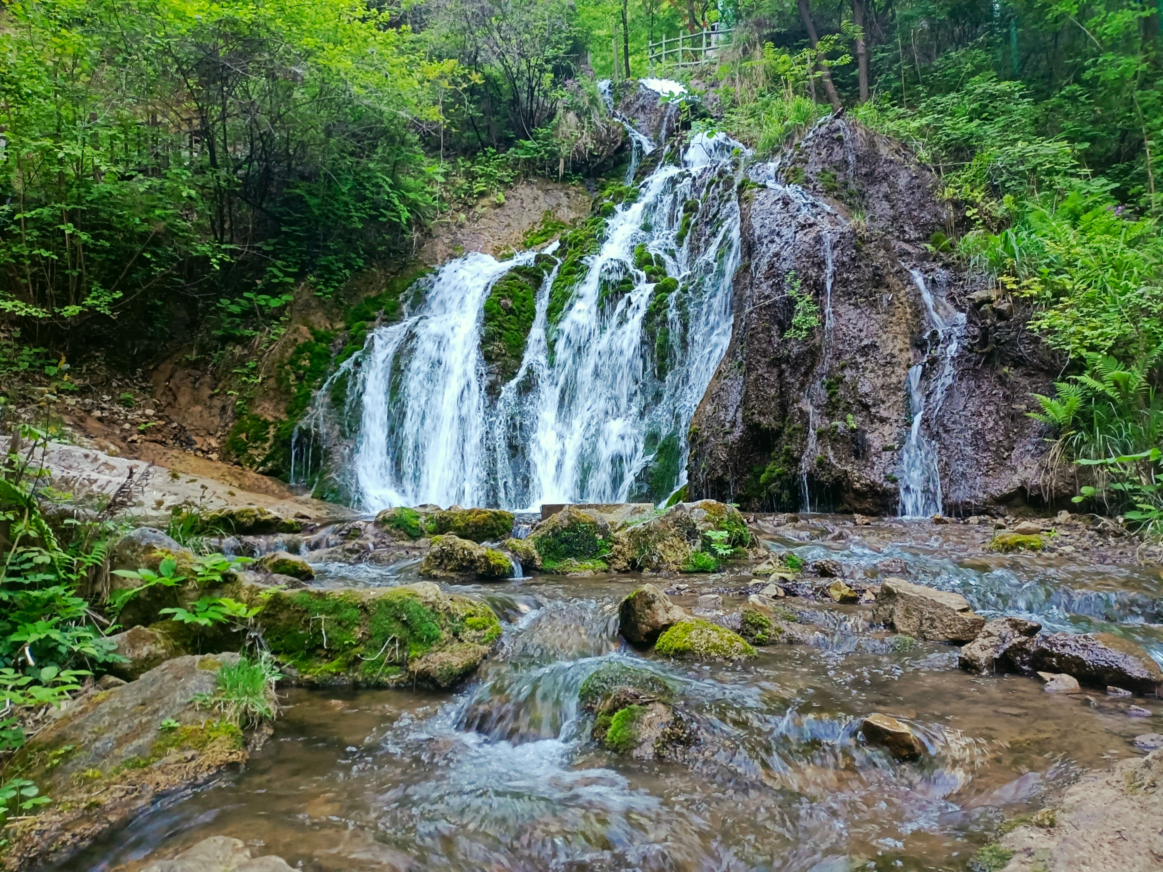 洛阳王府竹海风景图,洛阳王府竹海景区介绍