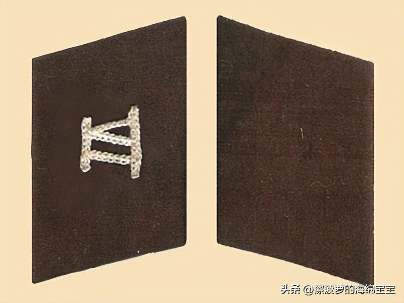 纳粹冲锋队用的什么枪,纳粹德军军衔图解