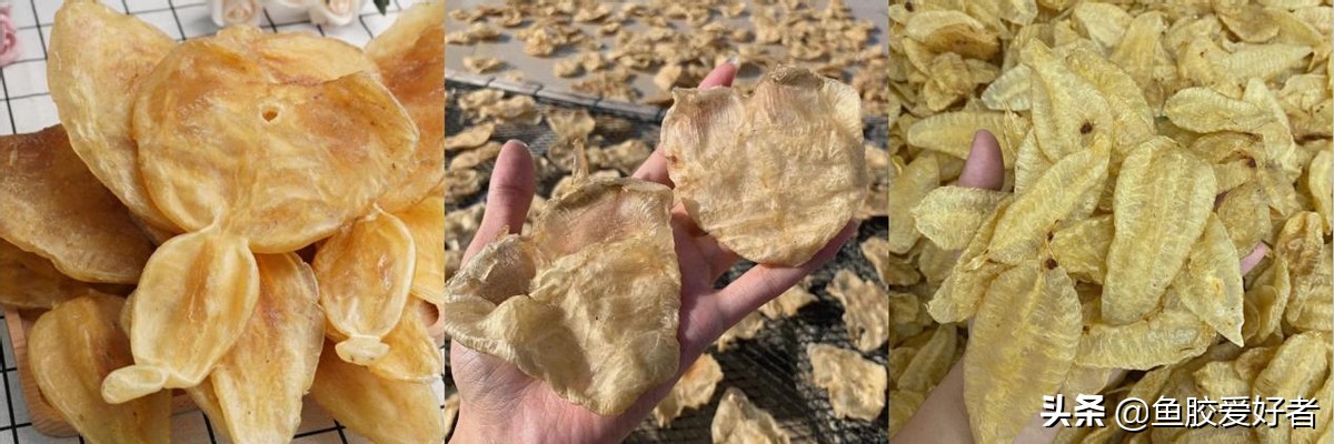 购买鱼胶之前这些常识你必须看看,不建议入手的鱼胶