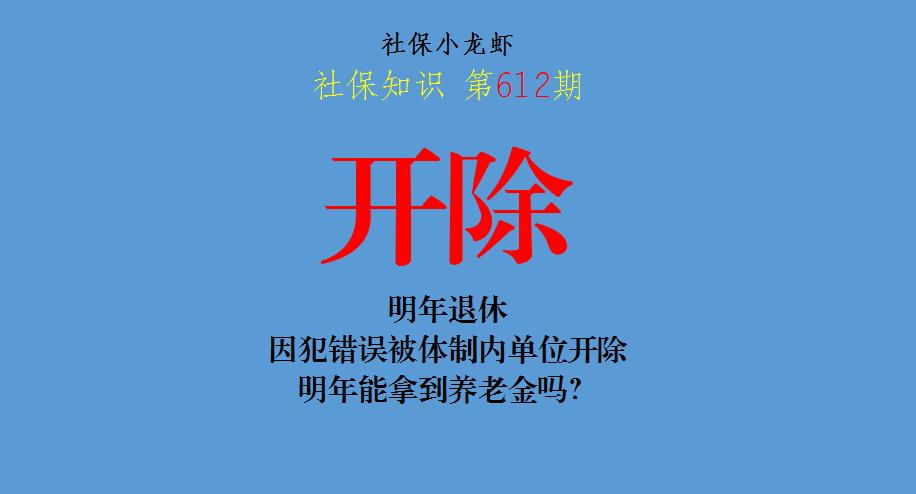 因违法被开除人员养老金如何处理,判刑被单位开除了养老金怎么办