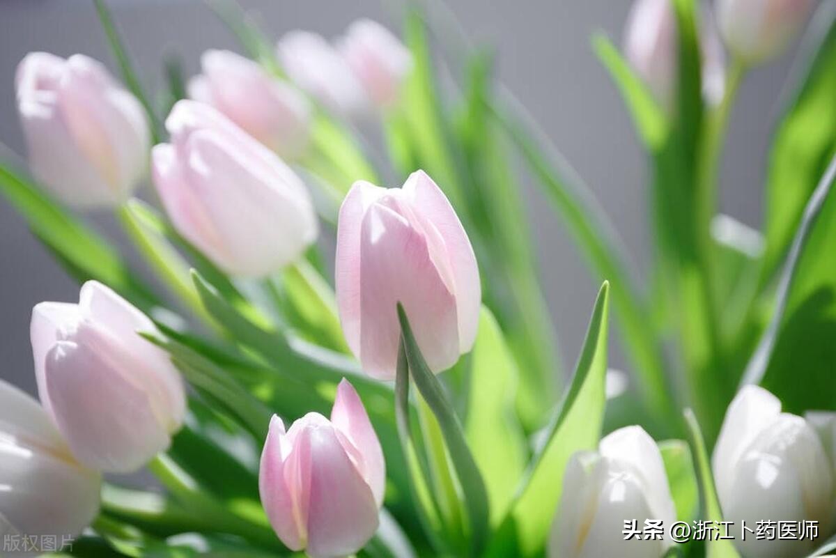 睾丸,阴睾自愈了睾丸一高一低该怎么办