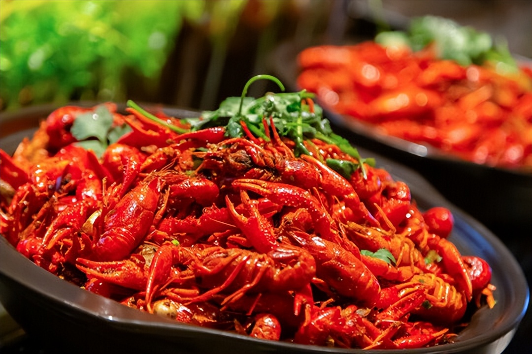 小伙养龙虾,小伙养十只大龙虾