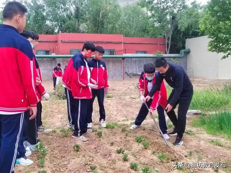 新闻周播报视频,新闻周播报