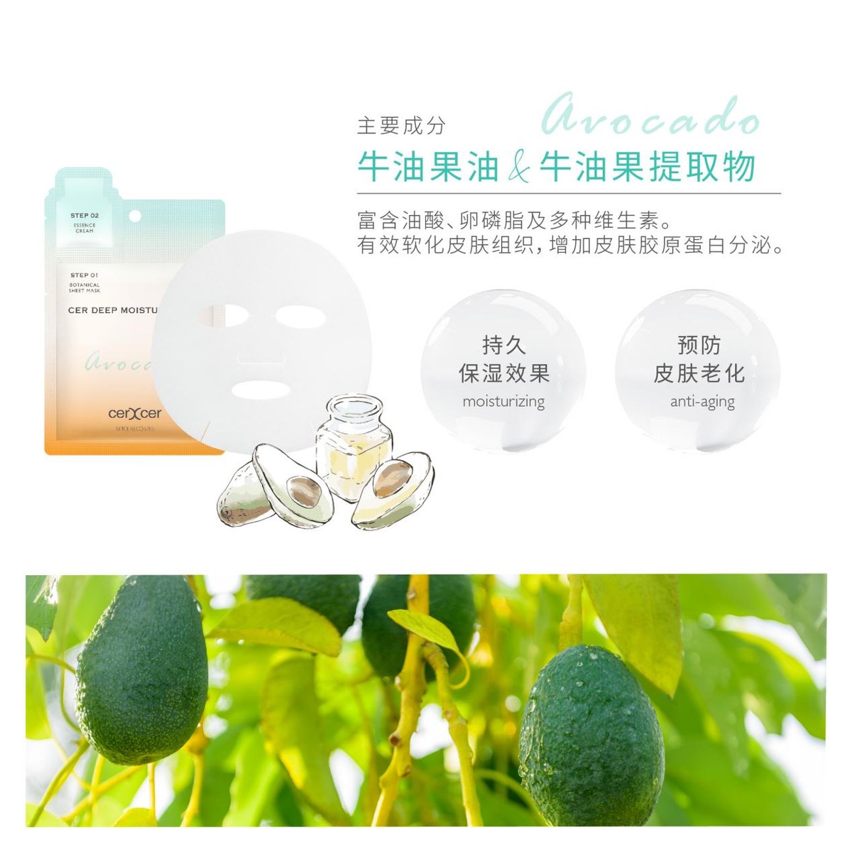 走近温和养肤的SINCERECOSME森皙雅品牌牛油果两部曲面膜