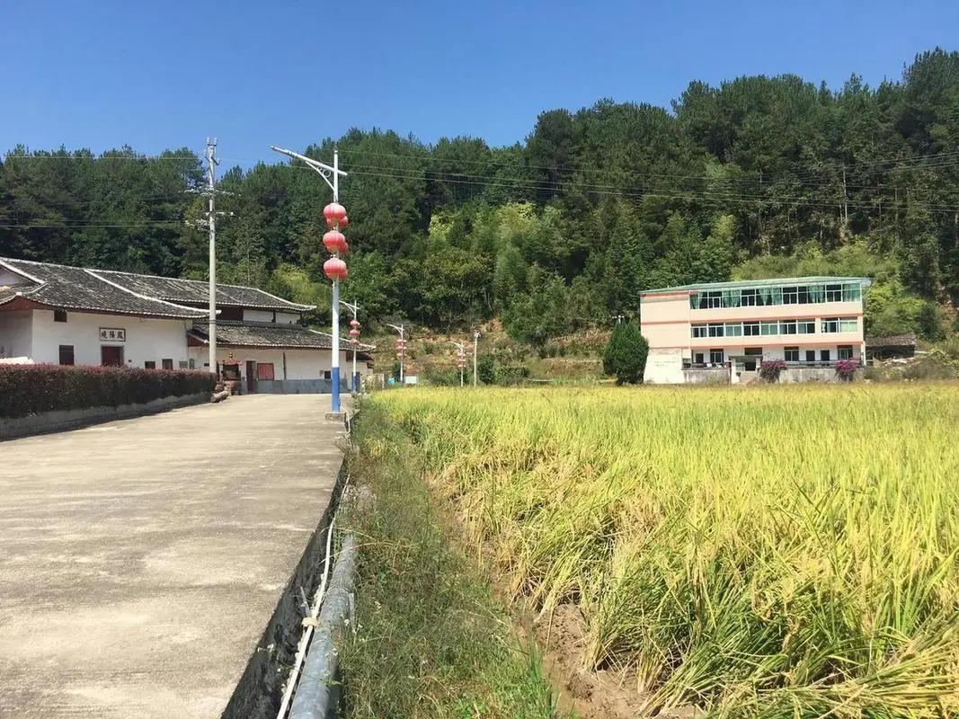 三农金融,农村金融发展新模式