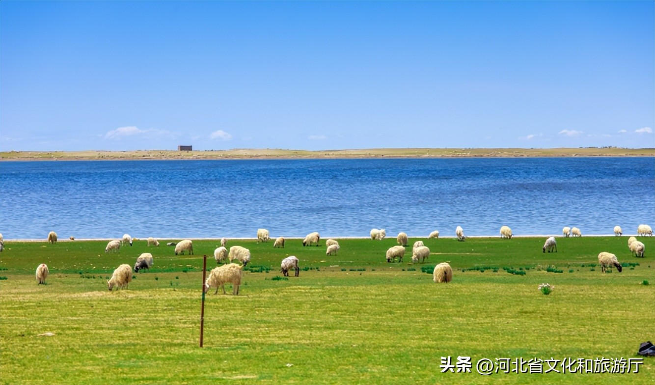 中国夏季避暑胜地排名前十,中国十大避暑胜地第一名你想不到