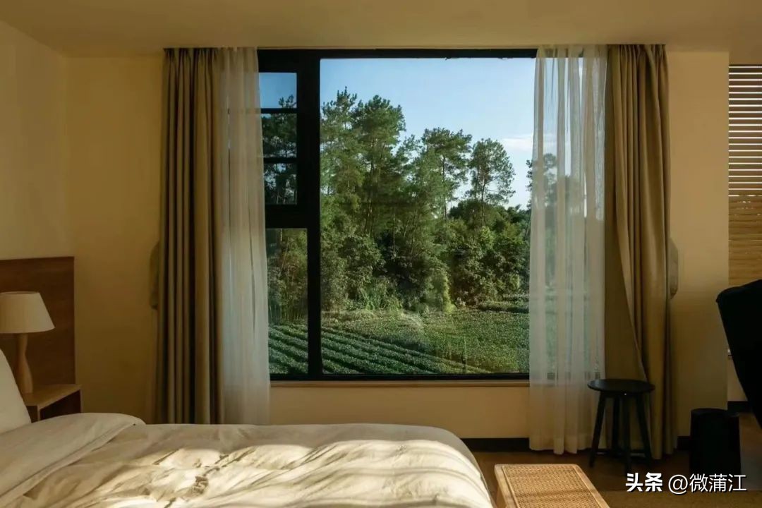 迎新春兔年促消费,迎新春促消费浓浓年味享不停