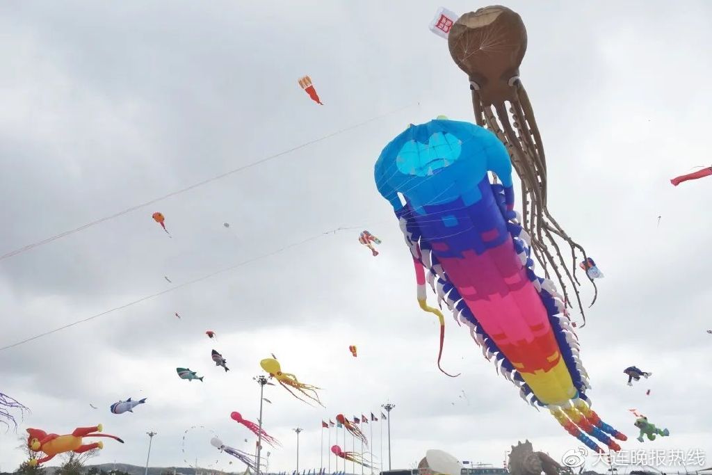 章鱼老板烧章鱼,章鱼老板第二季