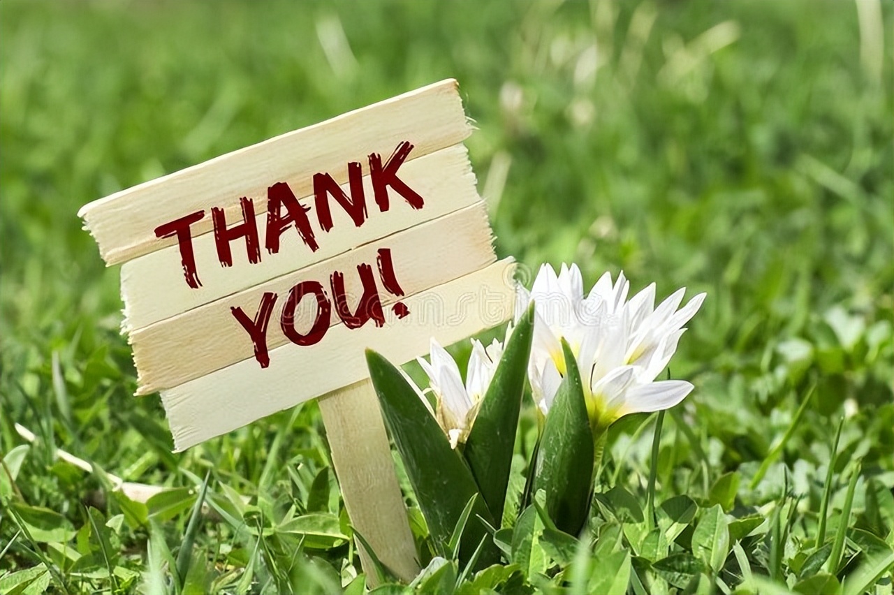 大白菜,脚踢“五菜”成珍馐,拳打“寒冬”饱大众,成就百菜之王