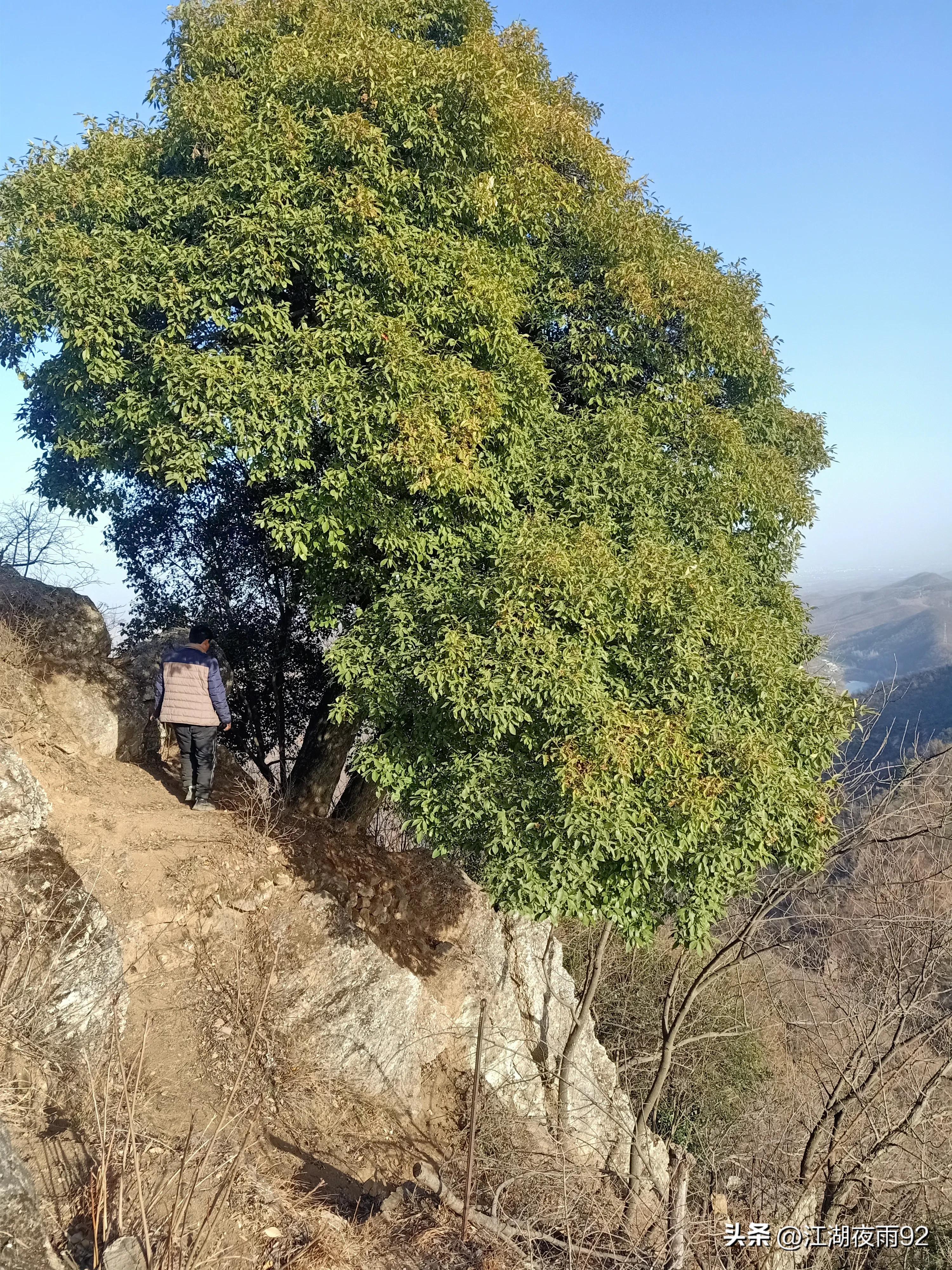 黄龙洞有许多奇观,内乡县黄龙寨来历