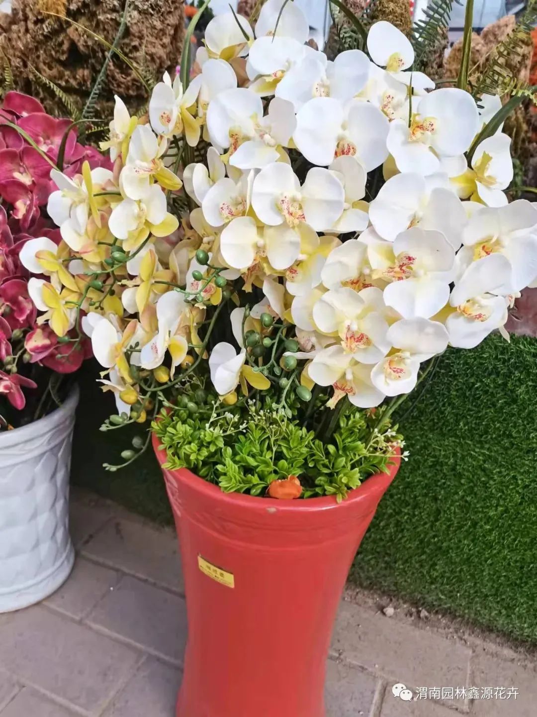 把春天带回家原唱,把云南的春天带回家