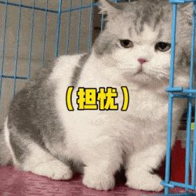 孩子开学焦虑症的原因和解决办法,开学焦虑症有何表现如何缓解焦虑